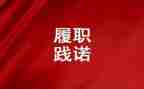 2024年履职个人总结范文优秀8篇