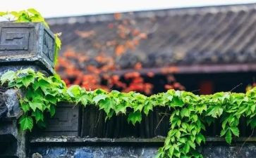 傲慢与偏读后感8篇
