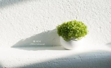 慢性病2022工作计划5篇