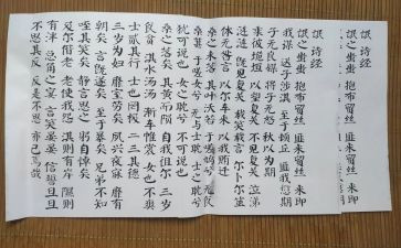 氓读后感500字最新8篇