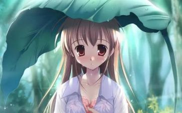 漫画迷的作文优质6篇