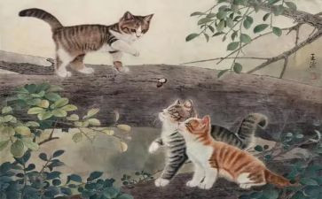 《猫》读后感500字7篇