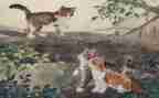《猫》读后感200字6篇