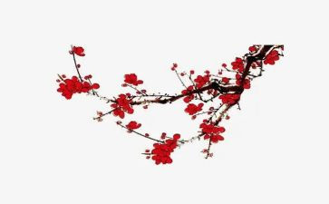 没梅花魂读后感7篇