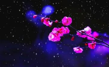 梅花诗读后感7篇