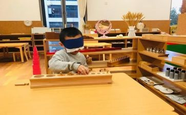 幼儿园蒙氏教研工作总结精选8篇
