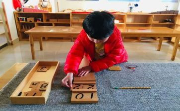蒙氏教育教学总结7篇