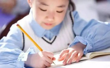 书迷的作文300字5篇