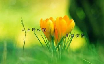 名人茅以升读后感最新7篇