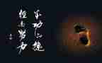 名人转的读后感最新7篇