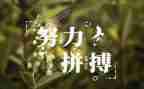 读名人传贝多芬的读后感8篇