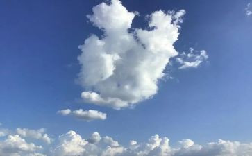 明天我_作文优秀8篇