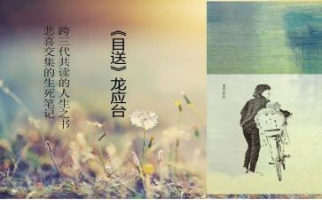 目送《目送》读后感最新7篇