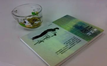 写目送的读后感通用6篇