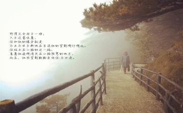 目送《目送》读后感通用5篇