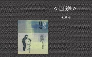 目送《目送》读后感参考7篇