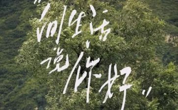 语言课你好教案5篇