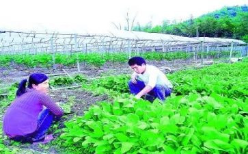 农技术学习心得体会通用8篇
