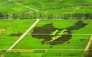 农业学习心得体会2023最新6篇