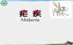 疟疾防治工作总结6篇