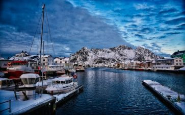 《挪威的森林》读后感600字5篇