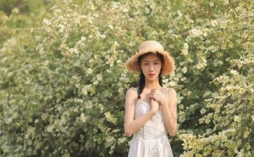 女生贾读后感推荐7篇