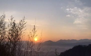 作文盼读后感8篇
