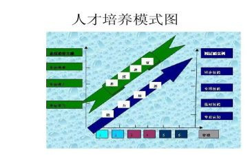 双培养工作总结模板8篇