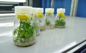 北培养青年教师总结精选5篇