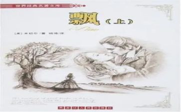 飘的读后感英文500字7篇