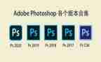 ps实训的心得体会8篇