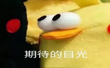 我期待的2024作文600字优质5篇