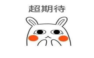 2024我期待作文模板7篇