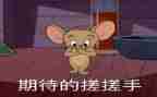 我期待的2024作文500字5篇