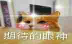 我期待的生活作文最新8篇