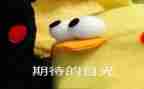 我期待的2024作文600字优质5篇