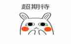 我期待的2024作文600字精选6篇
