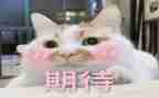 《我期待》作文8篇