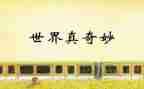小班奇妙的圆教案6篇