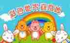 奇妙夜读后感模板6篇