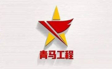 青马班培训的总结心得8篇