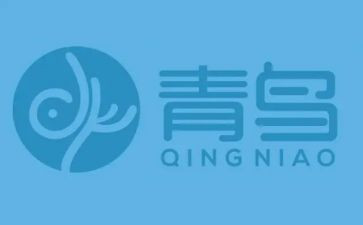 对青鸟的读后感最新6篇