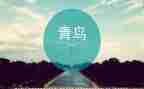 青鸟读后感100字6篇