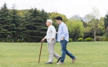 作文亲情500字最新8篇