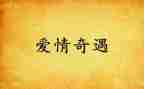 免子洞奇遇读后感模板5篇