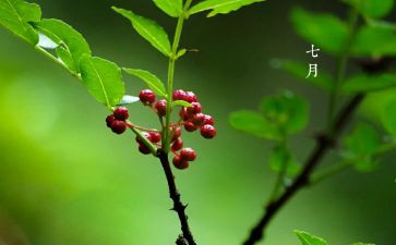 幼儿大班七月份工作总结7篇