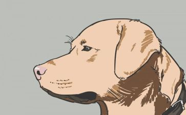 军犬黒子读后感推荐7篇