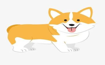 犬的故事的读后感推荐8篇