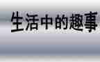 奇闻趣事的作文参考7篇