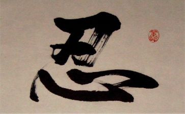 零容忍1观后感心得体会5篇